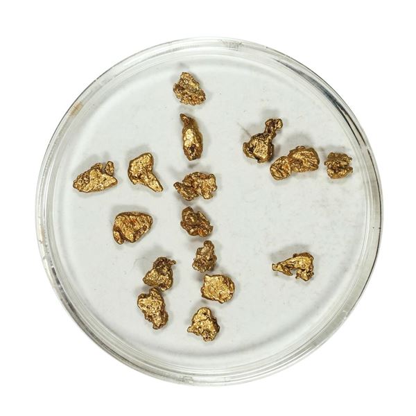 Gold Nuggets 2.27 Grams Total Weight