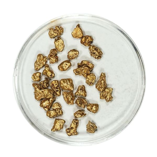 Gold Nuggets 4.85 Grams Total Weight