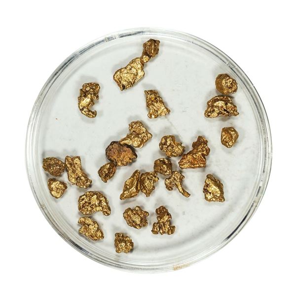 Gold Nuggets 4.12 Grams Total Weight