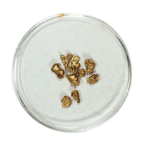 Gold Nuggets 1.53 Grams Total Weight