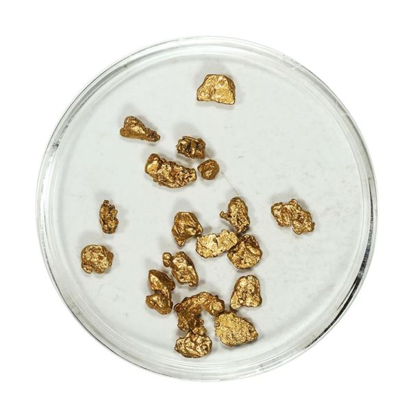 Gold Nuggets 3.12 Grams Total Weight