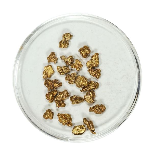 Gold Nuggets 3.56 Grams Total Weight