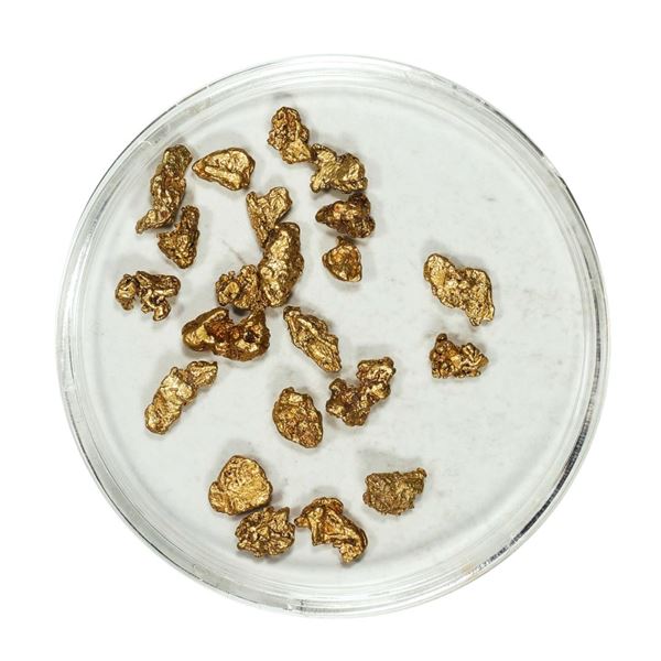 Gold Nuggets 3.84 Grams Total Weight