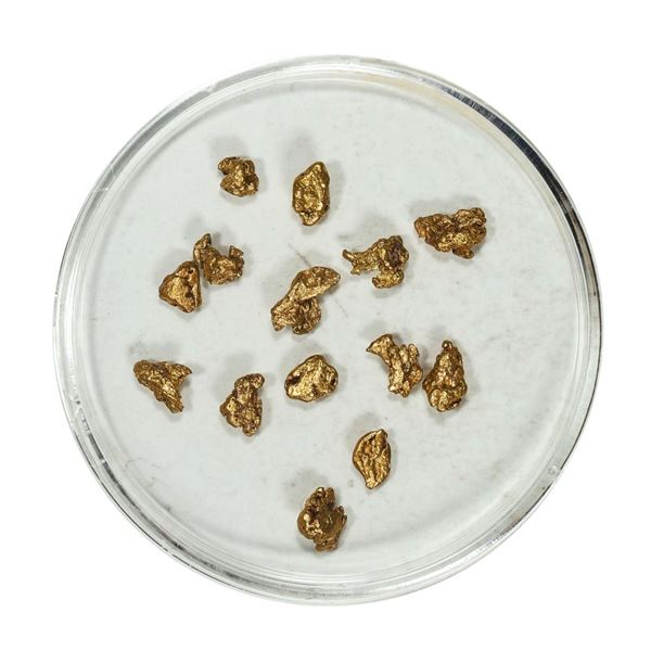 Gold Nuggets 2.33 Grams Total Weight