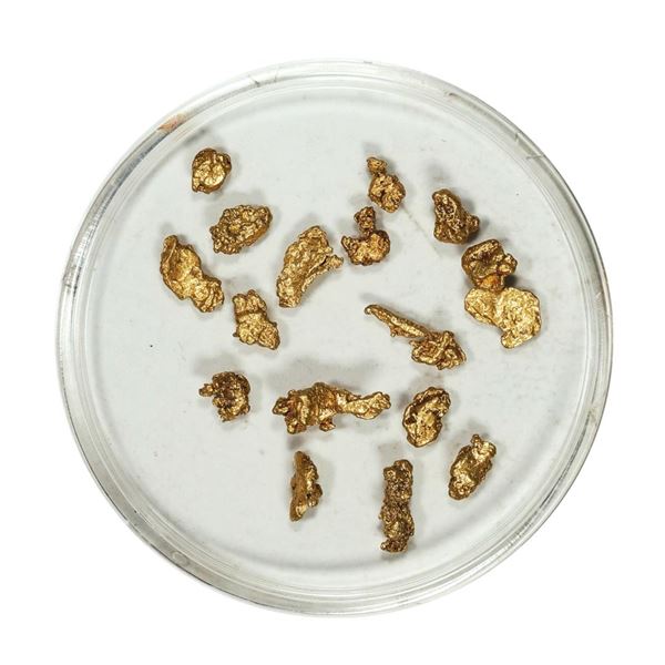 Gold Nuggets 2.72 Grams Total Weight