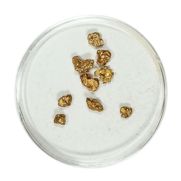 Gold Nuggets 1.63 Grams Total Weight