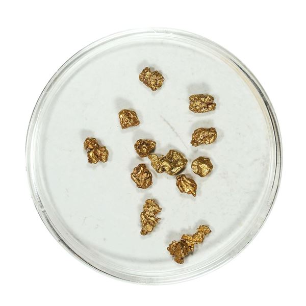 Gold Nuggets 1.86 Grams Total Weight