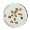Image 1 : Gold Nuggets 1.95 Grams Total Weight