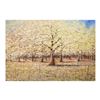 Image 1 : Inam Original Oil Painting On Canvas