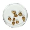 Image 1 : Gold Nuggets 4.73 Grams Total Weight