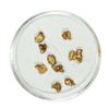 Image 1 : Gold Nuggets 1.78 Grams Total Weight