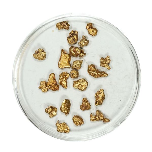 Gold Nuggets 3.39 Grams Total Weight