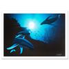 Image 1 : Wyland "Whale Vision" Limited Edition Giclee On Canvas