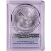 Image 2 : 1991 $1 American Silver Eagle Coin PCGS MS69 First Strike