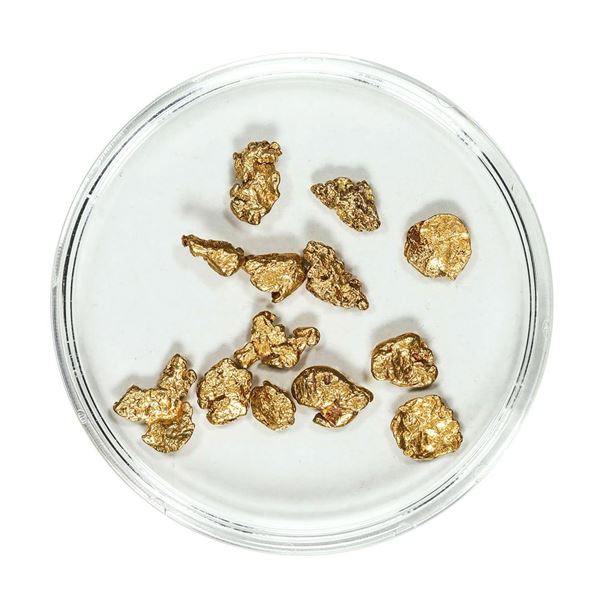 Gold Nuggets 3.18 Grams Total Weight