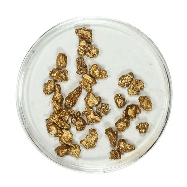 Gold Nuggets 5.00 Grams Total Weight