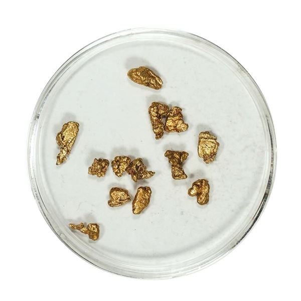 Gold Nuggets 2.03 Grams Total Weight