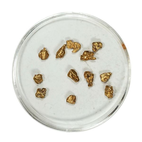 Gold Nuggets 1.77 Grams Total Weight