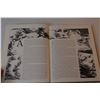 Image 3 : A Tolkien Bestiary by David Day