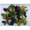 Image 4 : (30) Assorted Grape Clusters in Different Colors