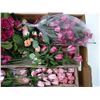 Image 2 : Large Flat of Plastic Stemmed Dried Roses