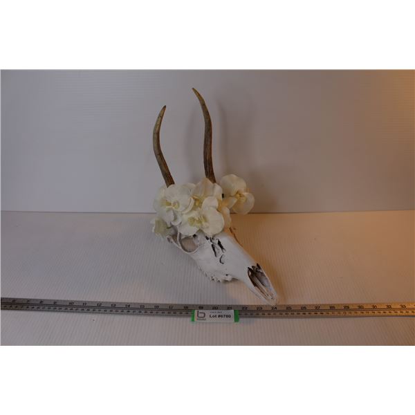 Deer Skull w/Antlers - Flowers