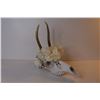 Image 4 : Deer Skull w/Antlers - Flowers