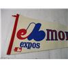 Image 2 : Expos Pennant