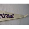 Image 3 : Expos Pennant