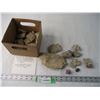 Image 1 : Box of Fossils in Sandstone Found in Saskatchewan