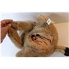 Image 3 : Folkmanis Bobcat Hand Puppet