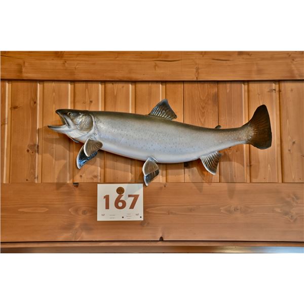 Dolly Varden Trout, real