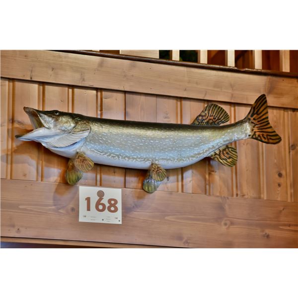 Northern Pike, real