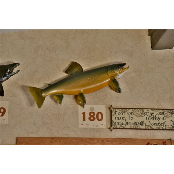 Dolly Varden Trout, real