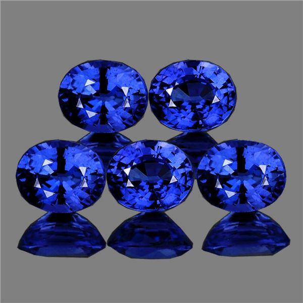 Natural Blue Sapphire 5 Pcs {Flawless-VVS}