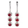 Image 1 : Natural Red Ruby Earrings