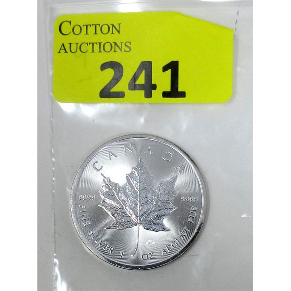 1 Oz .9999 Silver 2019 Canada Maple Leaf Coin 