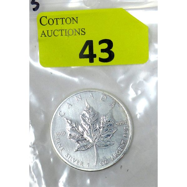 1 Oz .9999 Silver 2013 Canada Maple Leaf Coin 