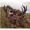 Image 2 : Argentina Red Stag Hunt for 2 Hunters