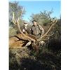 Image 2 : 5 Day Argentina Free Range Red Stag Hunt