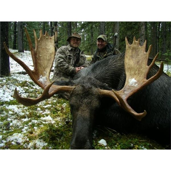 Canada Archery Moose Hunt