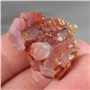 Image 2 : Vanadinite Crystal Cluster - Morocco