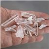 Image 8 : Set of 12 Lemurian Quartz Crystal Points