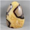 Image 2 : Septarian Dragonstone Polished Free Form - Madagascar