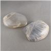 Image 4 : Set of 4 Black Moonstone Crystals - India