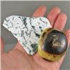 Image 1 : Tree Agate Slice & Septarian Dragonstone Polished Gallet