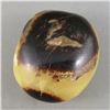 Image 3 : Tree Agate Slice & Septarian Dragonstone Polished Gallet