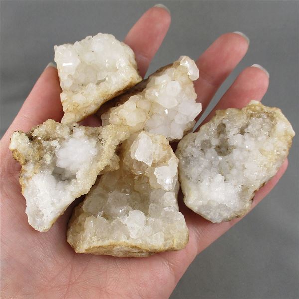 Lot of 5 Quartz Crystal Geodes