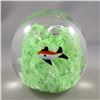 Image 1 : Vintage Blown Glass Globe with Shark