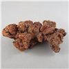 Image 3 : Large Coprolite Fossil (Fossilized Dino Poop) - Madagascar